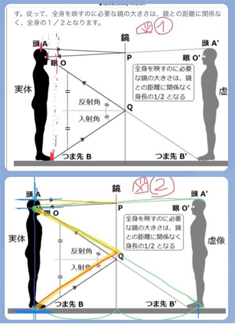 全身鏡位置|全身を映す鏡の大きさは？ 